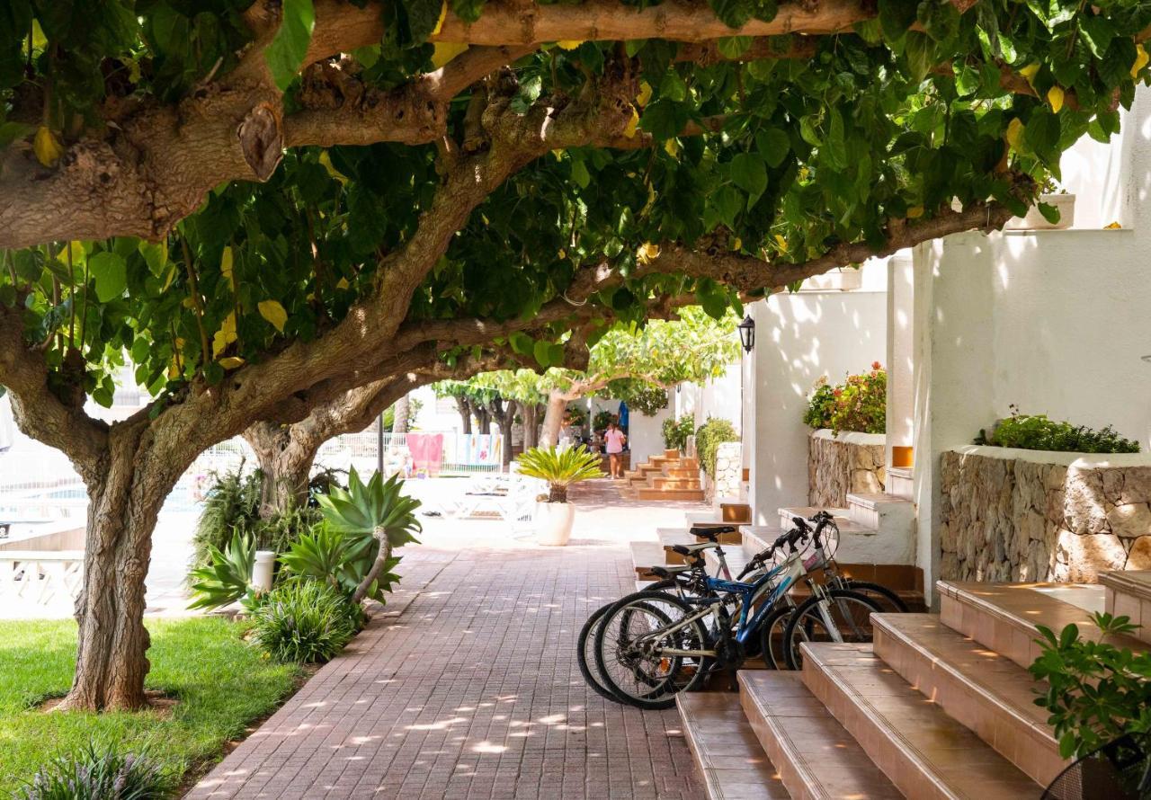 Apartamentos Els Romers Benicarlo-Peñíscola المظهر الخارجي الصورة
