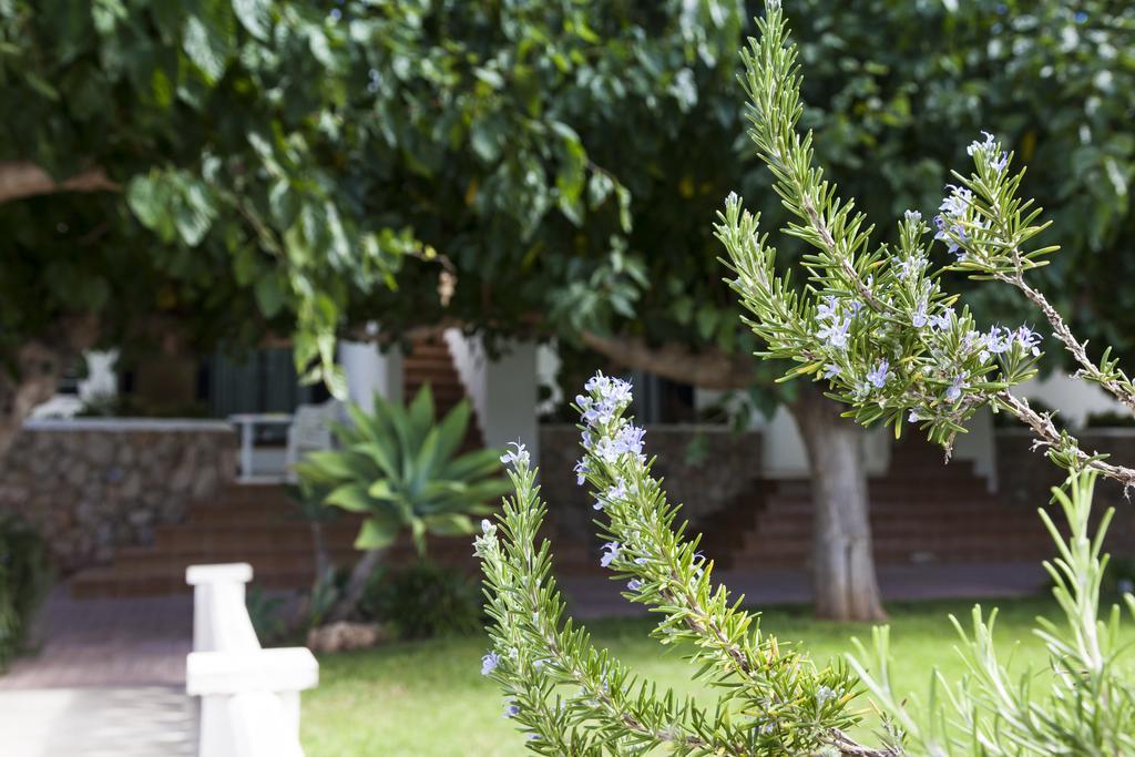 Apartamentos Els Romers Benicarlo-Peñíscola المظهر الخارجي الصورة