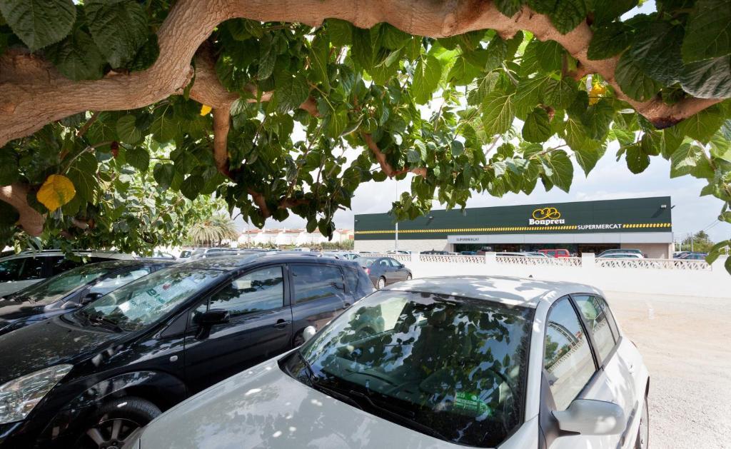 Apartamentos Els Romers Benicarlo-Peñíscola المظهر الخارجي الصورة